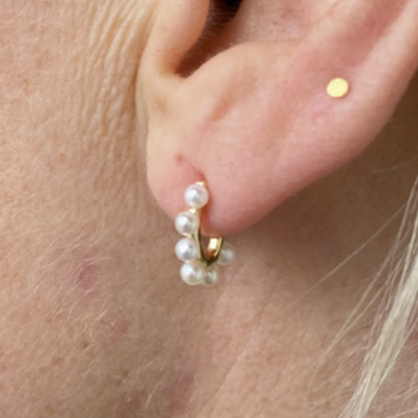 Pearl hoop Patricia forgyldt