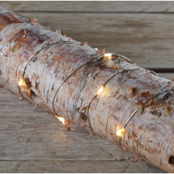 Lyskde med 20 ledlys 1,9 M