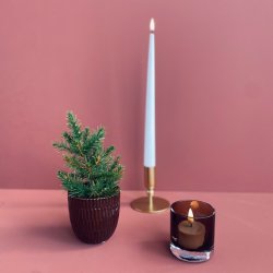 Grantr i potte 18-20 cm mix