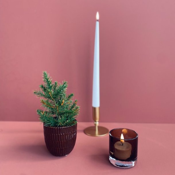 Grantr i potte 18-20 cm mix