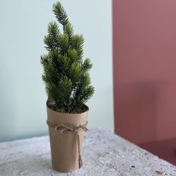 Lille grantr i potte