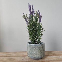 Potteskjuler keramik