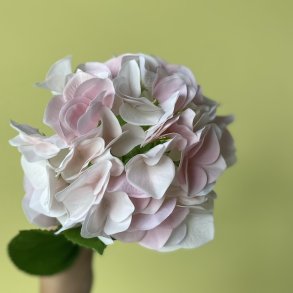 Hortensia  46cm pink