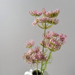 Skrmblomst rosa H 50 cm