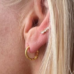 Malina restikker forgyldt slv