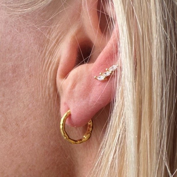 Malina restikker forgyldt slv