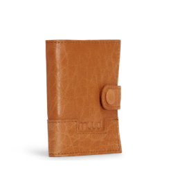 Edy nlepung  - skind