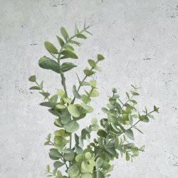 Eukalyptus gren 65 cm