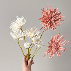 Georgine / Krysantemum stilke