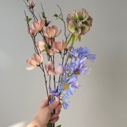 Aster tataricus / Nellike / Blomster stilk