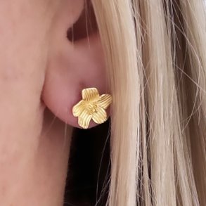 restikker JASMIN Forgyldt Slv