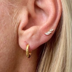 Malina restikker forgyldt slv