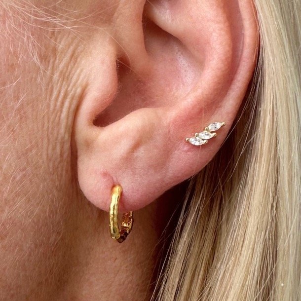 Malina restikker forgyldt slv