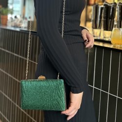 Aftentaske zebra shine