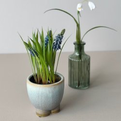 Perlehyasint bl H 22cm