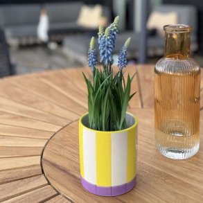 Urtepotte m/striber violet/gul glas