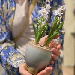 Potteskjuler keramik lille