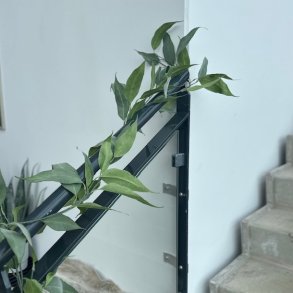 Eukalyptus guirlande L 190 cm