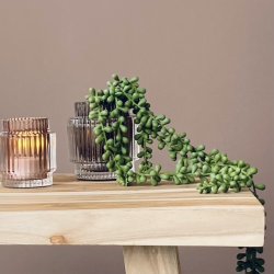 Glas fyrfadsstage H9,5 9,5 Cm