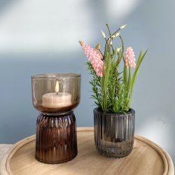 Perlehyacinth mix i pottle 26 cm pink