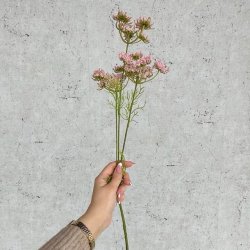 Skrmblomst rosa H 50 cm