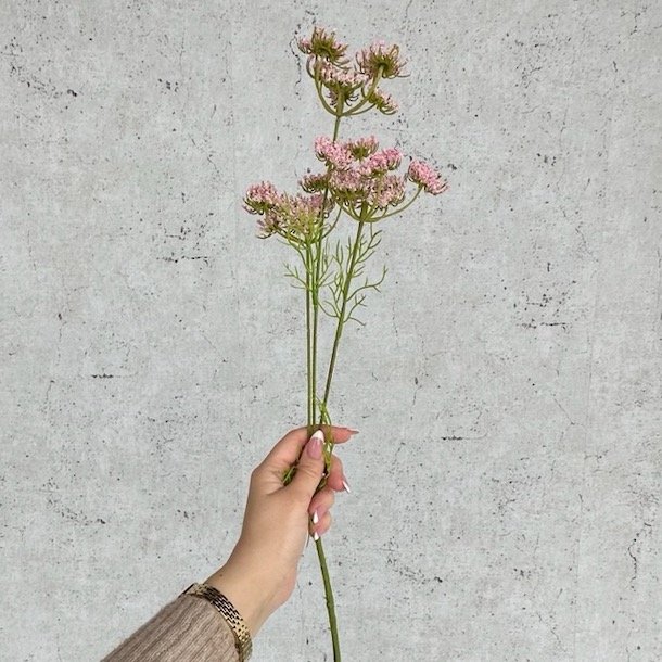 Skrmblomst rosa H 50 cm