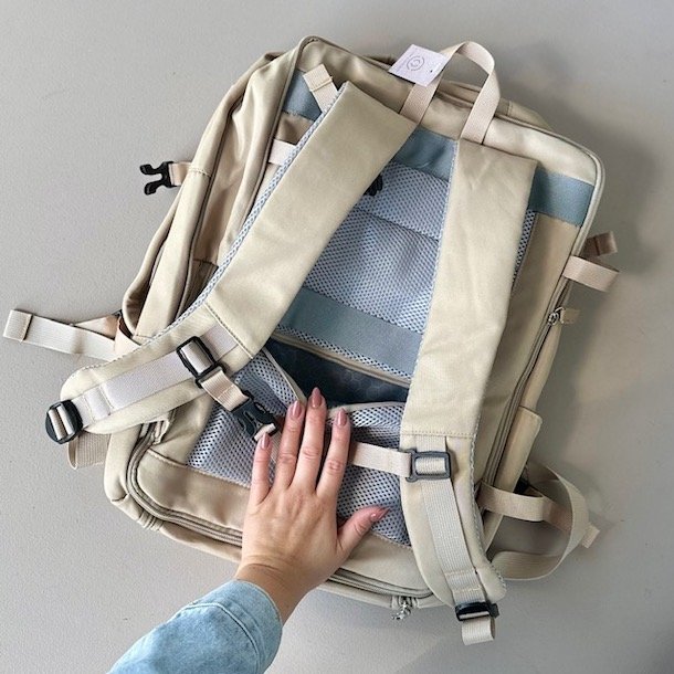 Rejse rygsk med computer rum