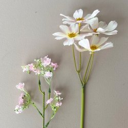 Brudeslr stilk / Stolt kavaler