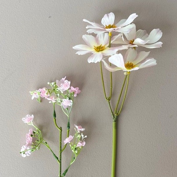 Brudeslr stilk / Stolt kavaler