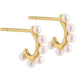 Pearl hoop Patricia forgyldt