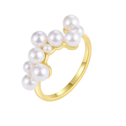 Ring cloud forgyldt slv