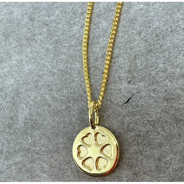 Ladies circle vedhng jubilum - forgyldt slv