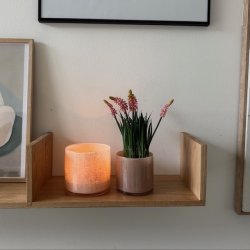 Urtepotte creme Glas