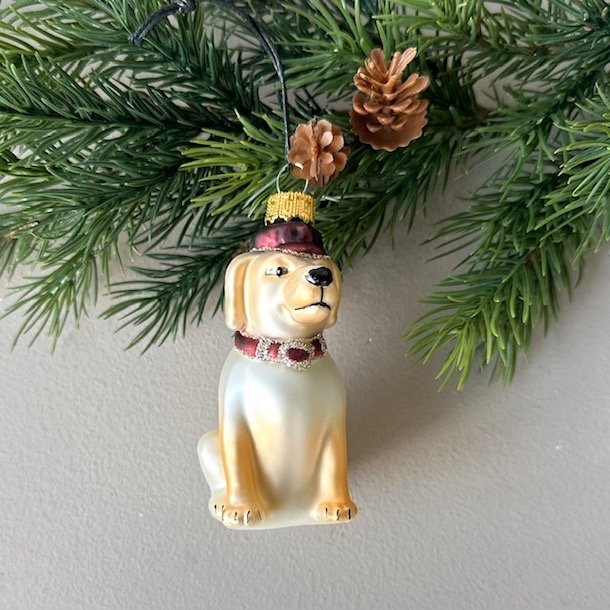 Julekugle hund Glas
