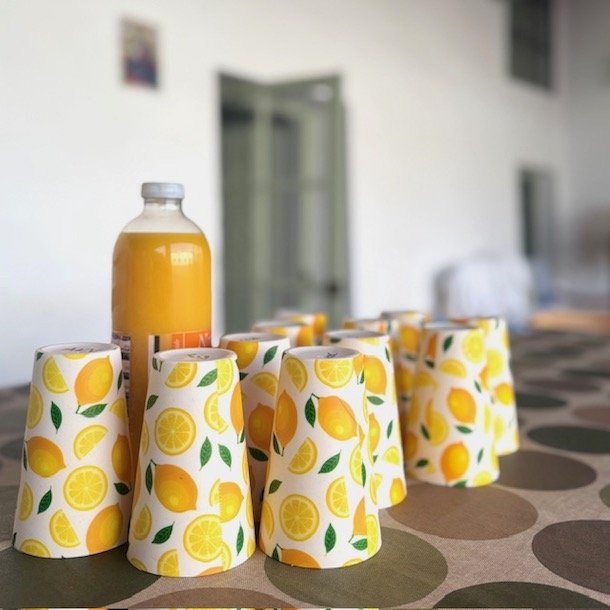 Melemain krus citron picnic