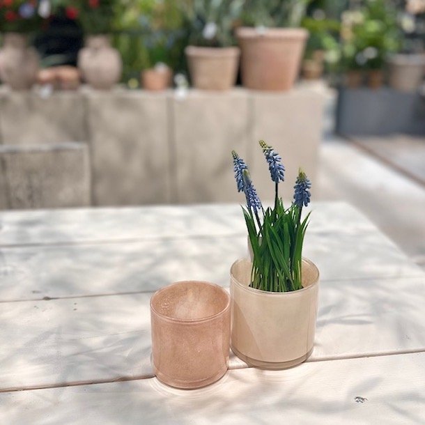 Urtepotte beige glas