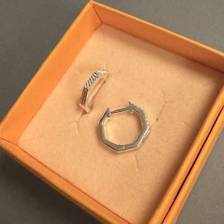 Octaline hoops s�lv