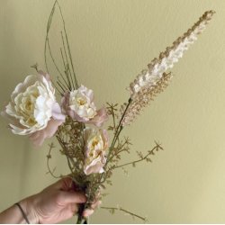 Markblomst creme-rosa 60cm