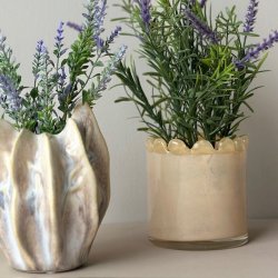 Isabel urtepotte Glas