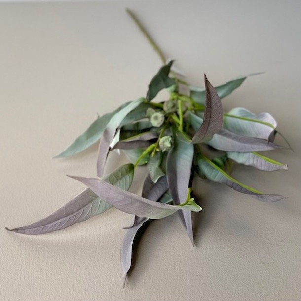 Eukalyptus stilk 70cm