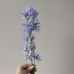 Aster tataricus / Nellike / Blomster stilk