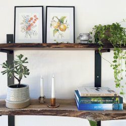 Huslg 4 hoveder i potte