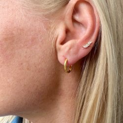 Malina restikker forgyldt slv