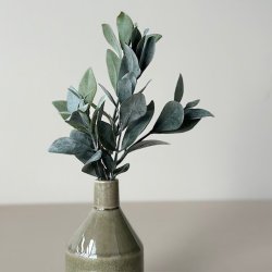 Eukalyptus stilk 30cm