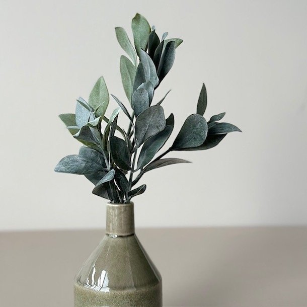 Eukalyptus stilk 30cm