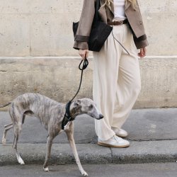 Bukser Tailored str. S-L