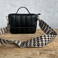 Taskerem dogtooth
