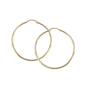 hoops ANA  Forgyldt Slv